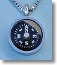 Thin Bezel Stainless Steel Compass Pendant with Box Chain
