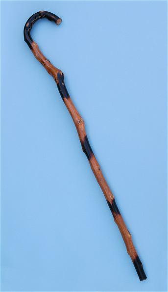 Traditional Chinese Bent Willow Cane